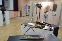 3boiseaux