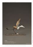 Boiseaux22d