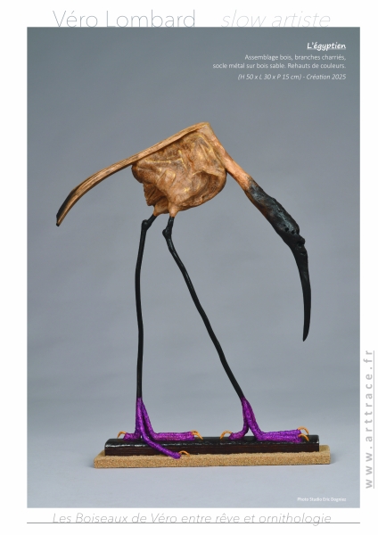 LesBoiseauxDeVéro2026w