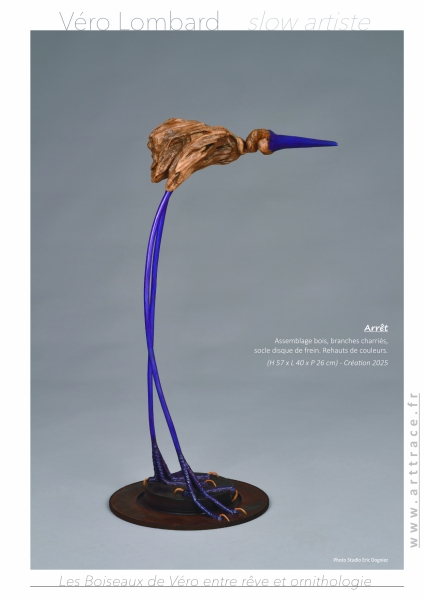 LesBoiseauxDeVéro2026w