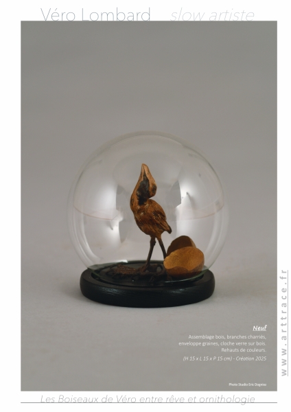 LesBoiseauxDeVéro2026w LesBoiseauxDeVéro2026w