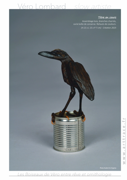 LesBoiseauxDeVéro2026w LesBoiseauxDeVéro2026w