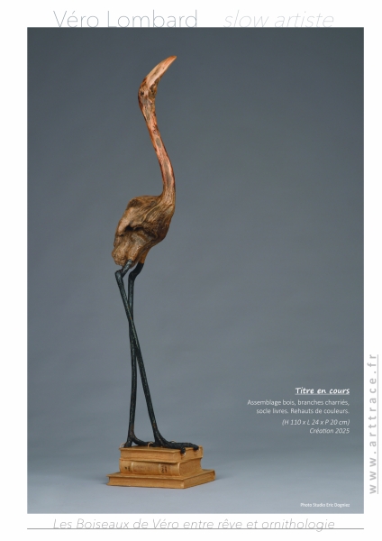 LesBoiseauxDeVéro2026w