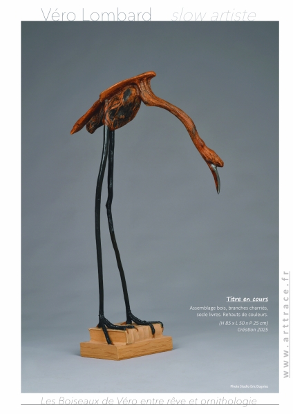 LesBoiseauxDeVéro2026w LesBoiseauxDeVéro2026w