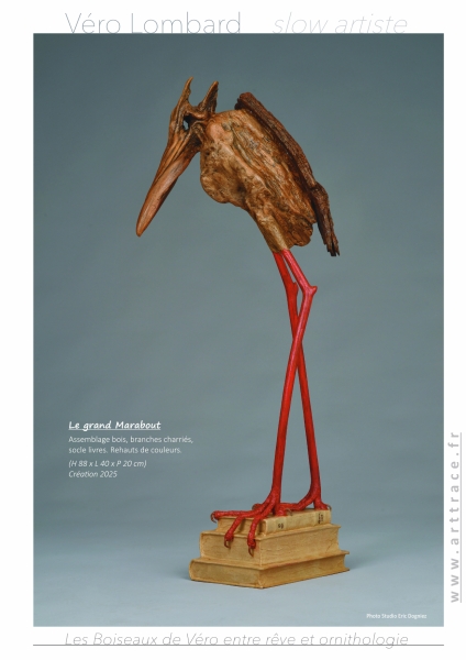 LesBoiseauxDeVéro2026w LesBoiseauxDeVéro2026w