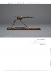 Boiseaux11