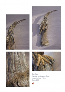 bookboiseaux_2012_03