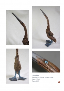 bookboiseaux_2012_07