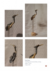 bookboiseaux_2012_10