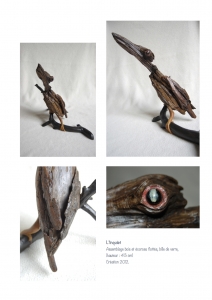 bookboiseaux_2012_11