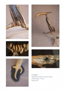 bookboiseaux_2012_12
