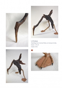 bookboiseaux_2012_13