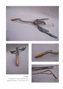 bookboiseaux_2012_14