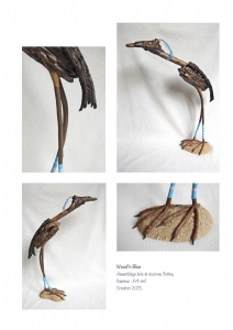 bookboiseaux_2013_02