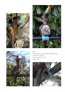 bookboiseaux_2013_03