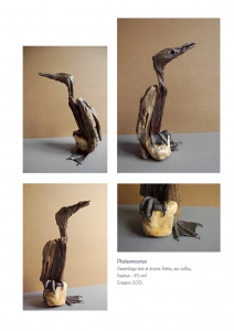 bookboiseaux_2013_06