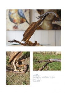 bookboiseaux_2013_07