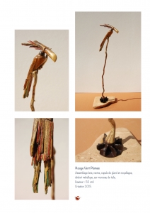 bookboiseaux_2013_11