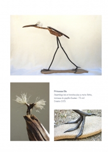 bookboiseaux_2013_12