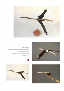 bookboiseaux_2013_14