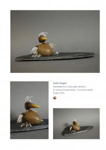 bookboiseaux_2013_15