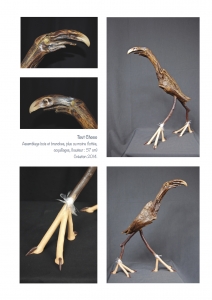 bookboiseaux_2014_02