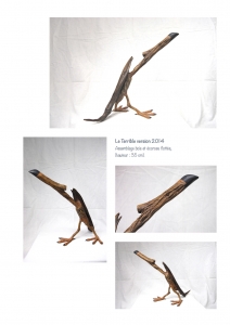 bookboiseaux_2014_04