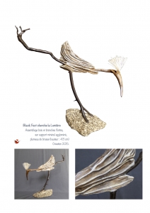 bookboiseaux_2015_02