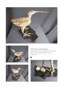 bookboiseaux_2015_03