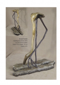 bookboiseaux_2015_06