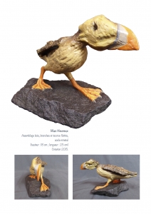 bookboiseaux_2015_07