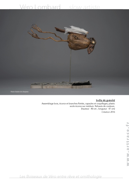 Boiseaux12