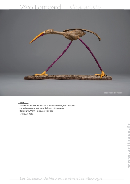 Boiseaux13