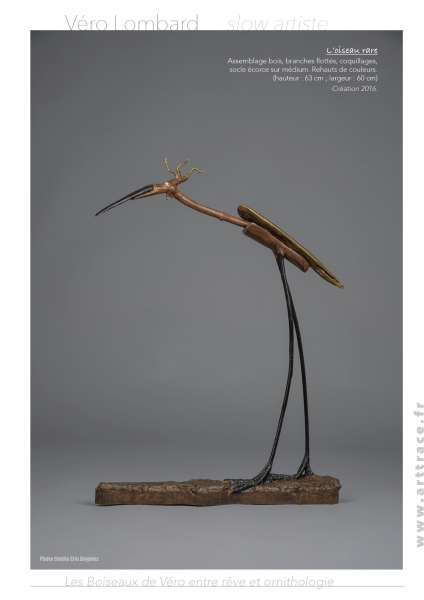 Boiseaux14