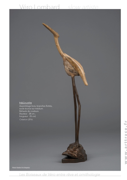 Boiseaux15