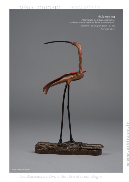 Boiseaux16