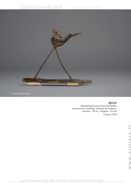 Boiseaux17