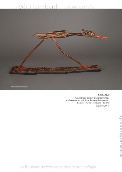 Boiseaux18