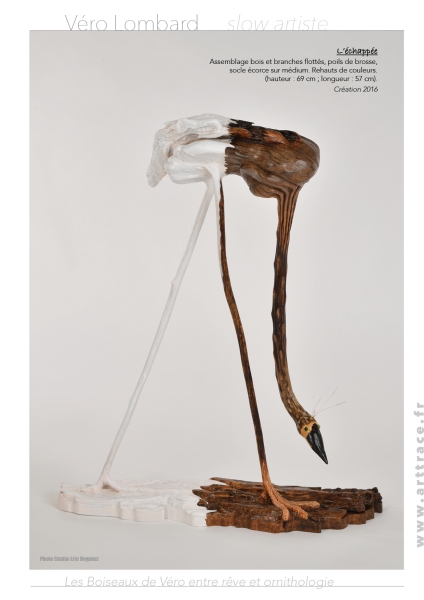 Boiseaux6