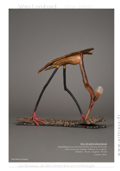 Boiseaux7