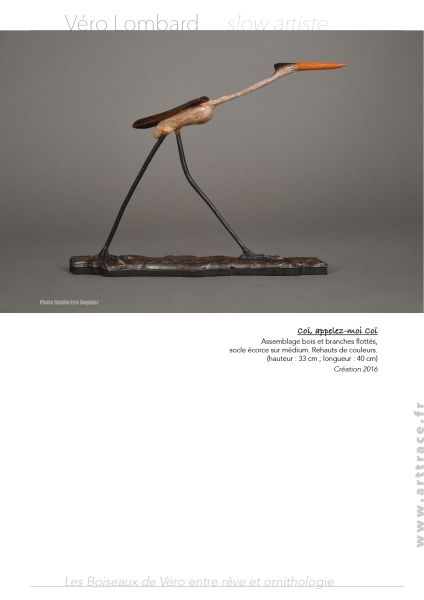 Boiseaux9