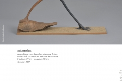 boiseau2017b