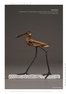 boiseau2020b