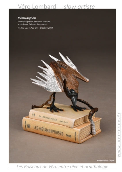 bookboiseaux2023
