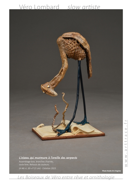 bookboiseaux2023
