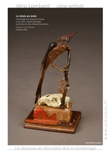 bookboiseaux2023