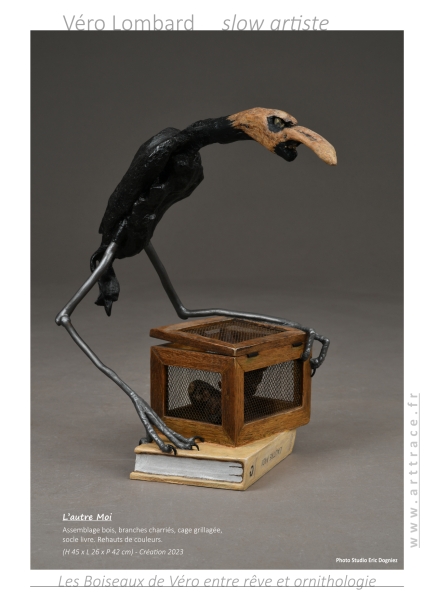 bookboiseaux2023