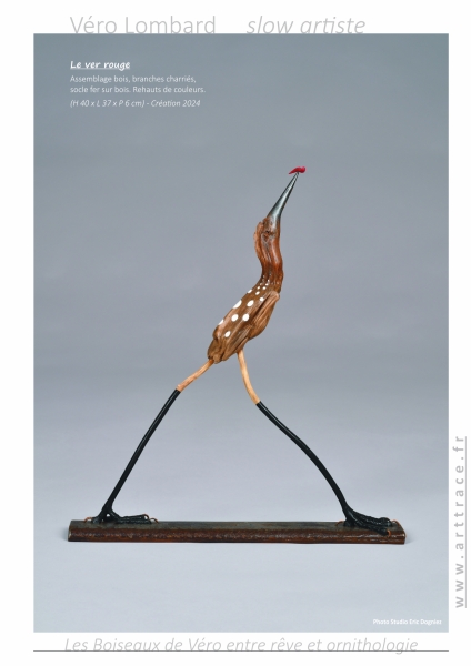 LesBoiseauxDeVéro2025w