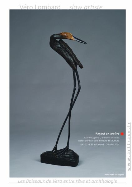 LesBoiseauxDeVéro2025w