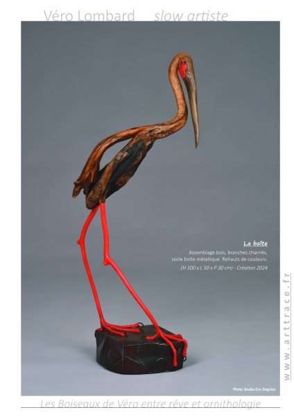 LesBoiseauxDeVéro2025w